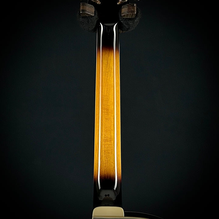 Ibanez Artcore Expressionist AF95FM