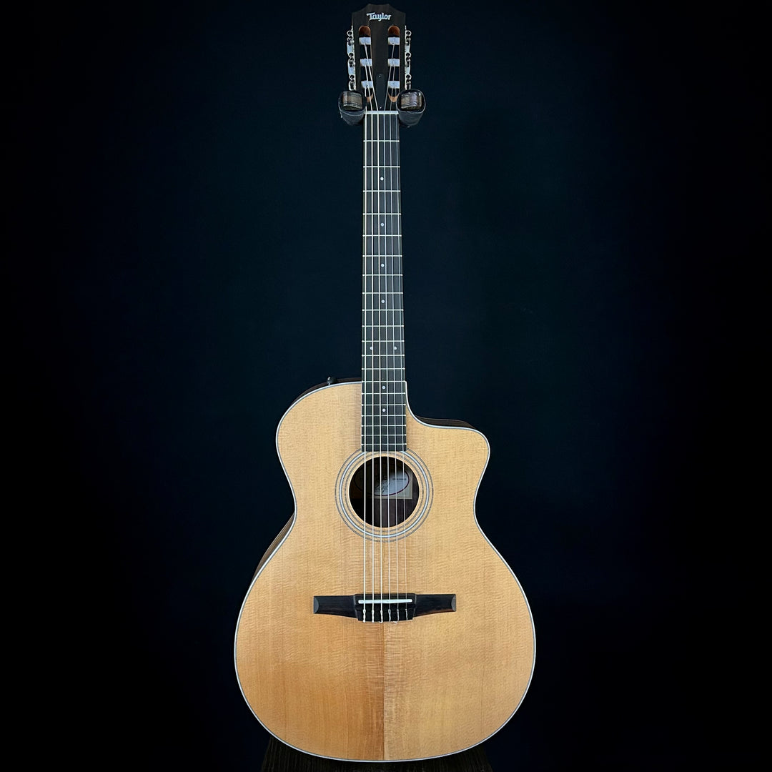 Taylor 214CE - Nylon