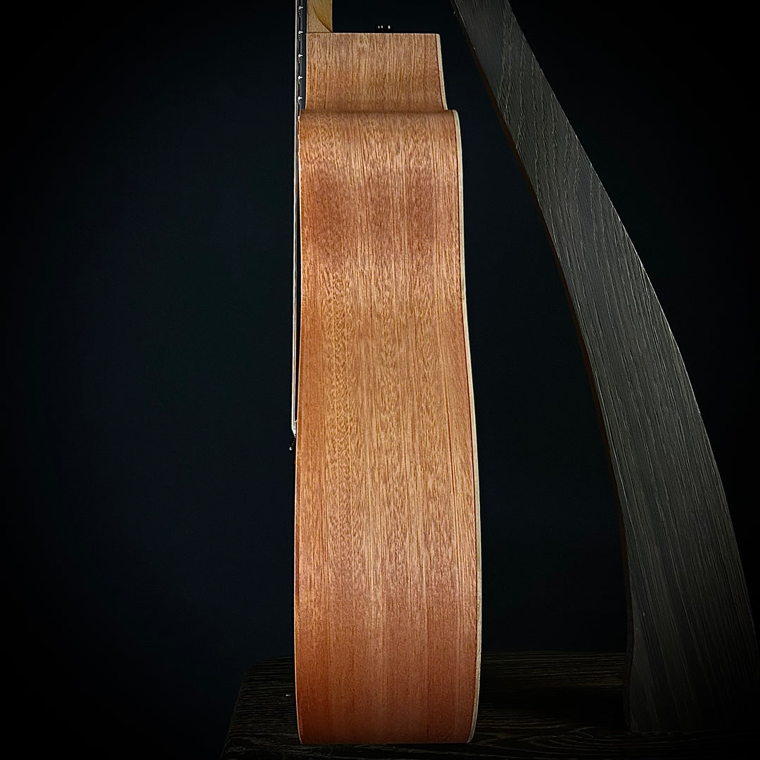 Taylor 24CE - Mahogany Top