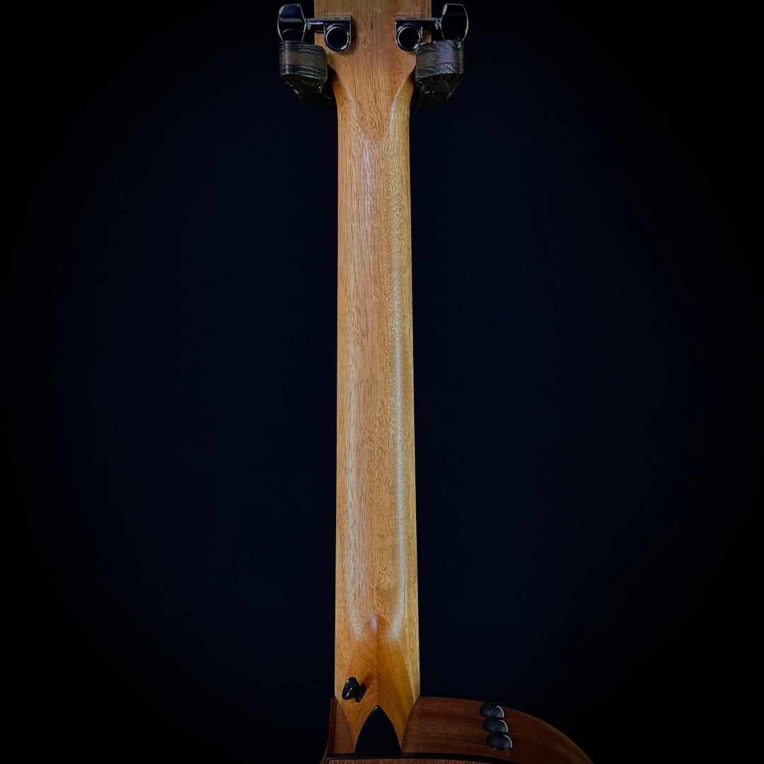 Taylor 114CE