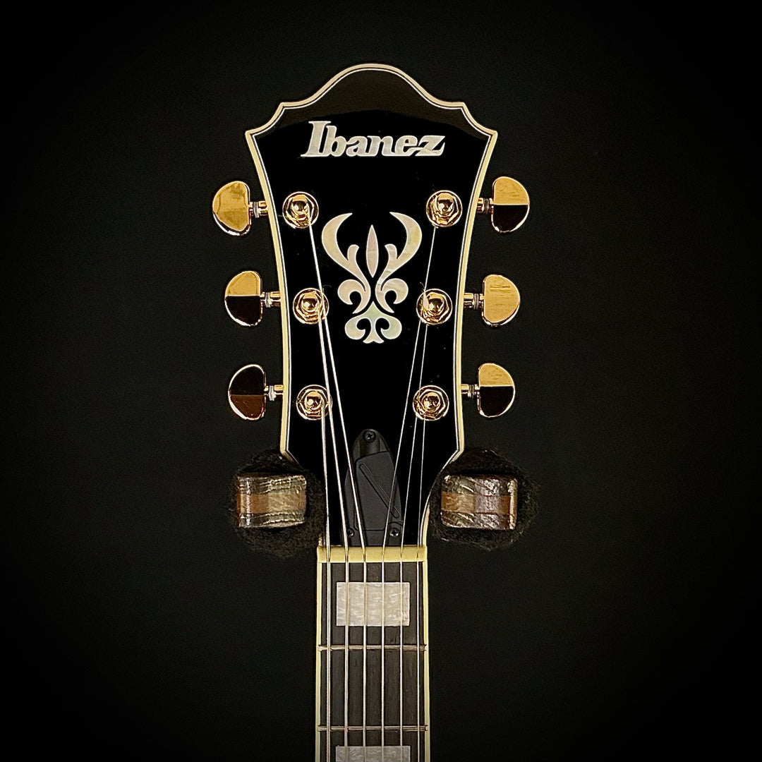 Ibanez Artcore Expressionist AG95QA