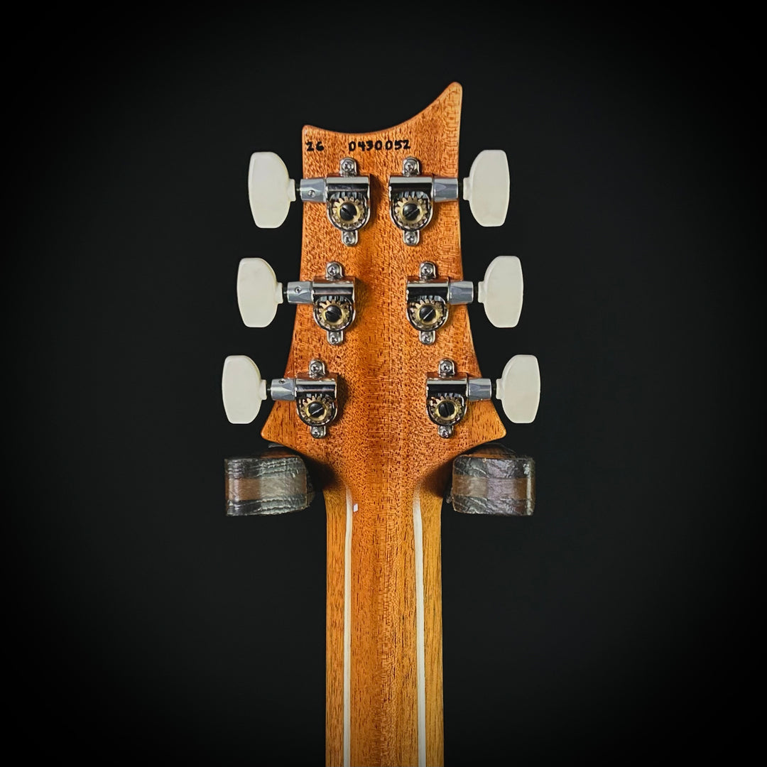 PRS Custom 24 Birds Of A Feather