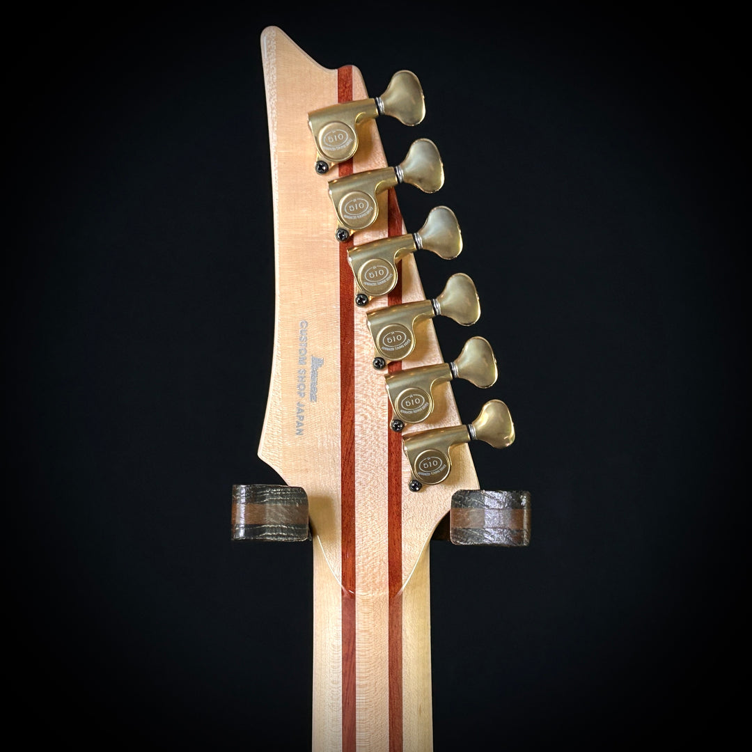 Ibanez IV2RG Visions