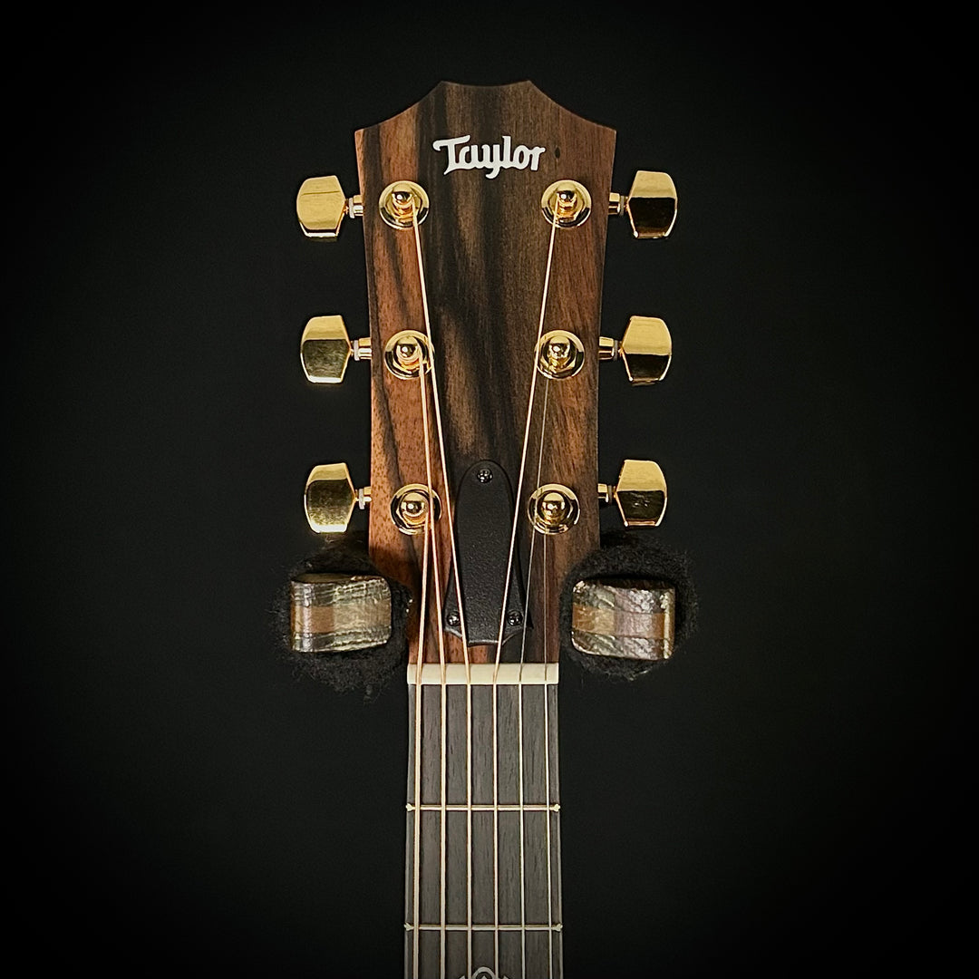 Taylor 224ce-K DLX