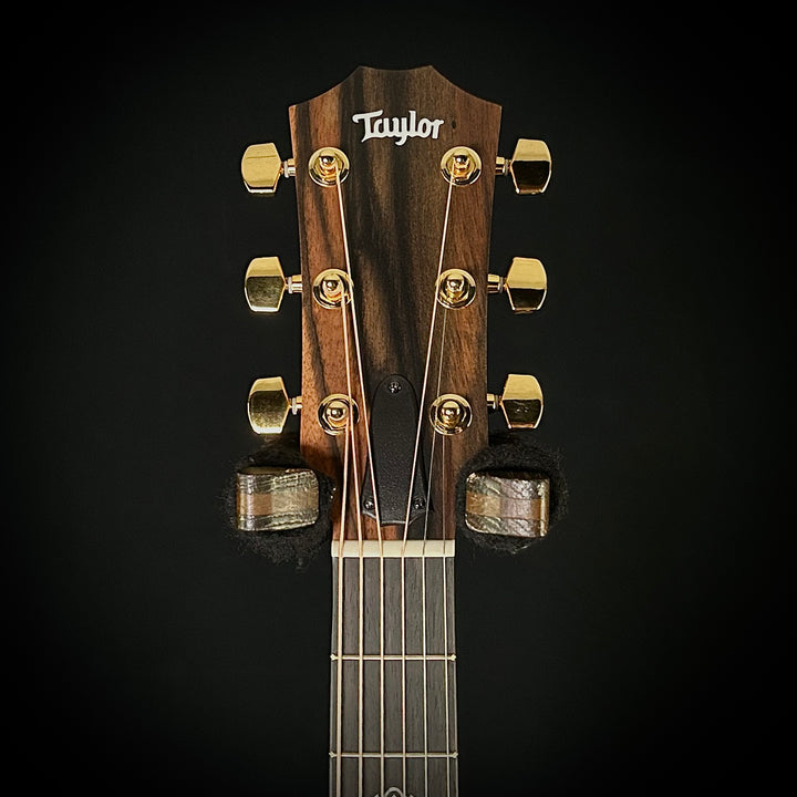 Taylor 224ce-K DLX