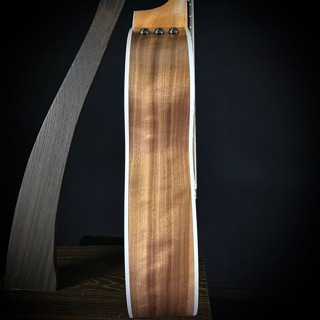 Taylor 214CE - Nylon