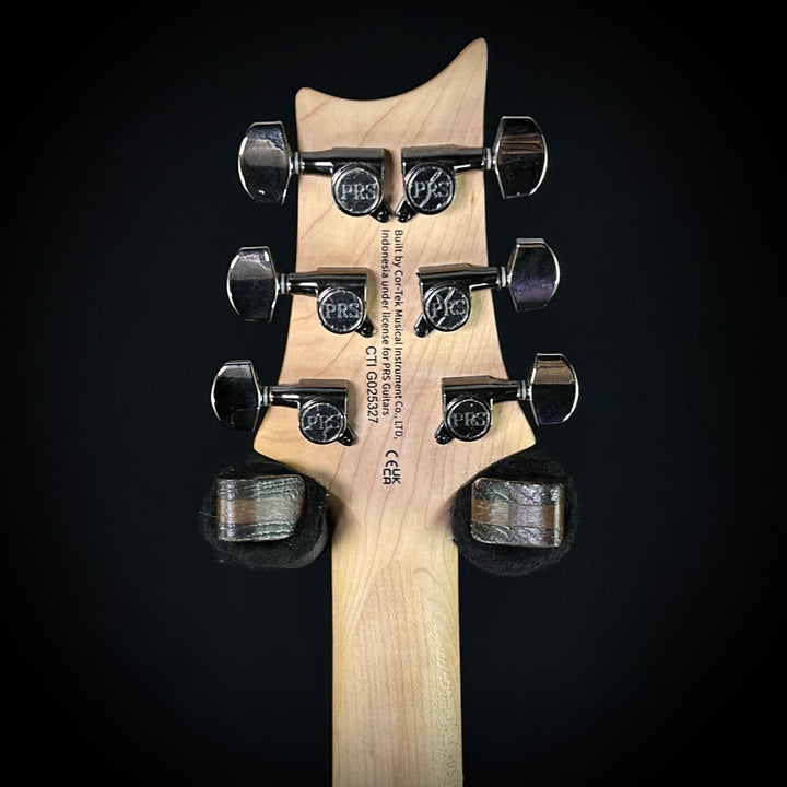 PRS SE Swamp Ash CE 24 Sandblasted