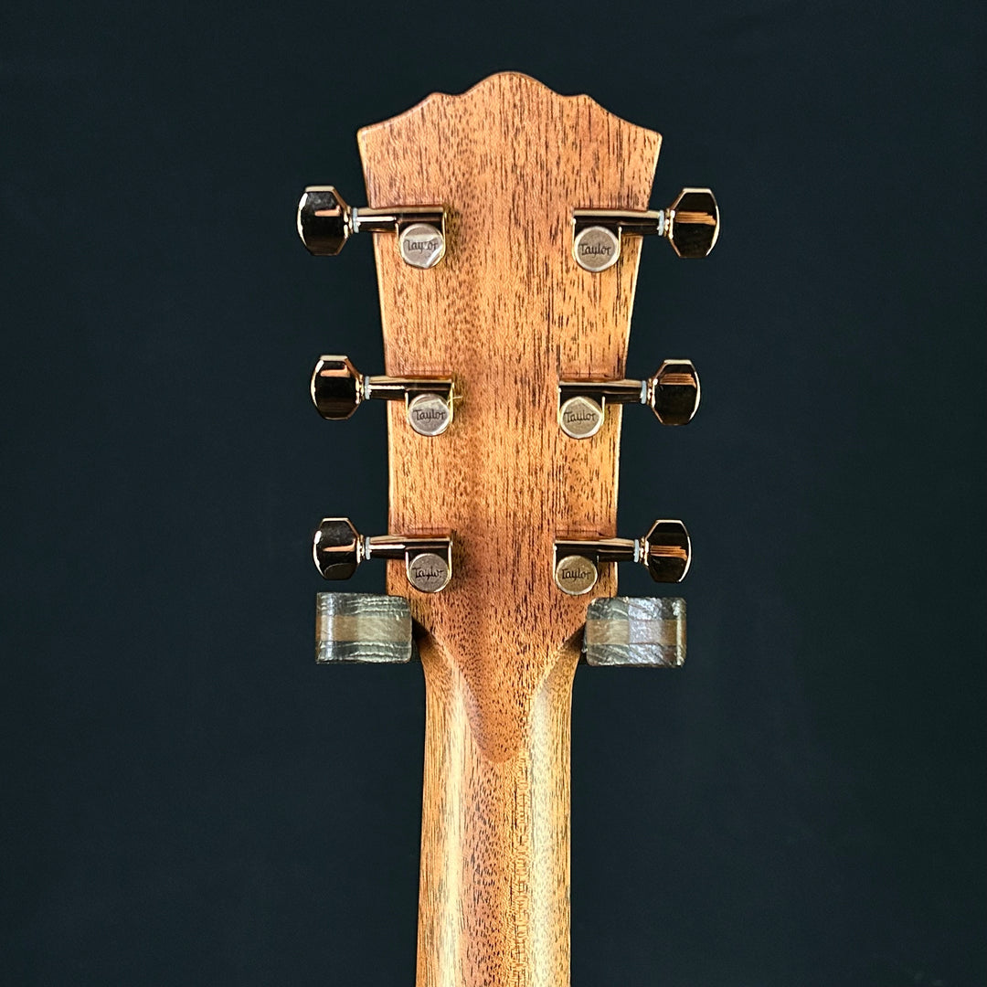 Taylor Ben Harper Gold Label 512E