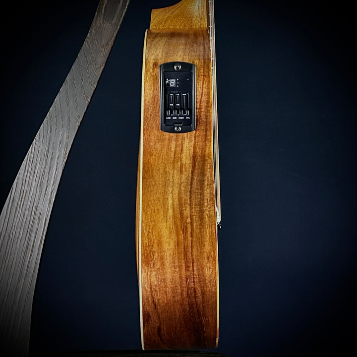Taylor GS Mini-e Koa
