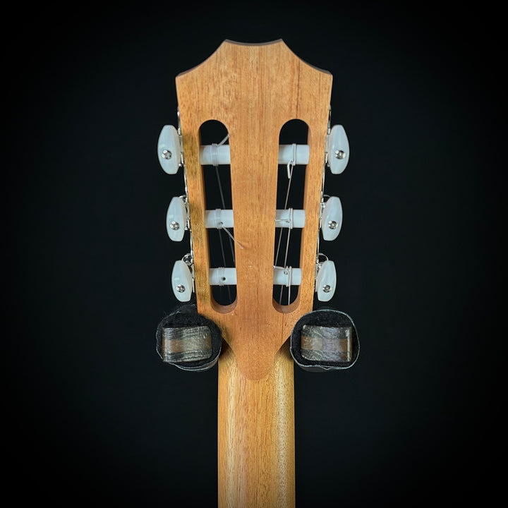Taylor 214CE - Nylon