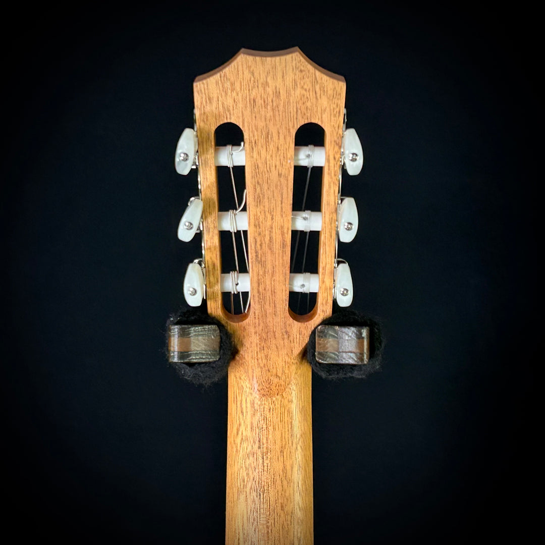 Taylor Academy 12E Nylon String -  LEFTY