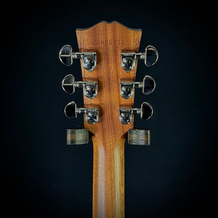 Hummingbird Studio Walnut - Gloss Top
