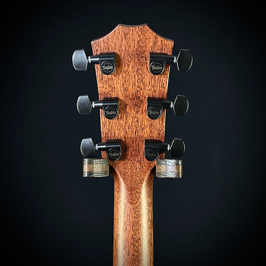 Taylor MV Custom Baritone-6 - Grand Auditorium