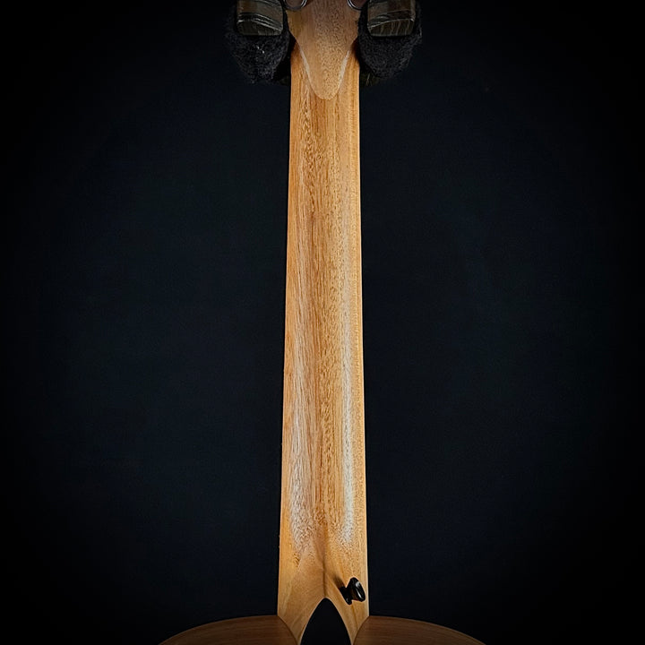 Taylor GS Mini - Lefty