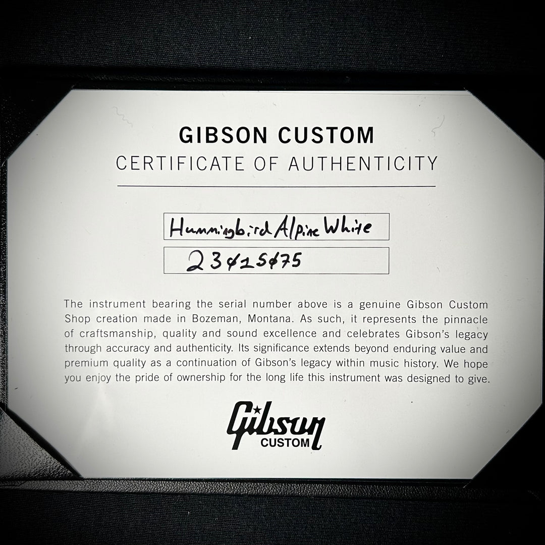 Gibson Hummingbird Maple - Alpine White