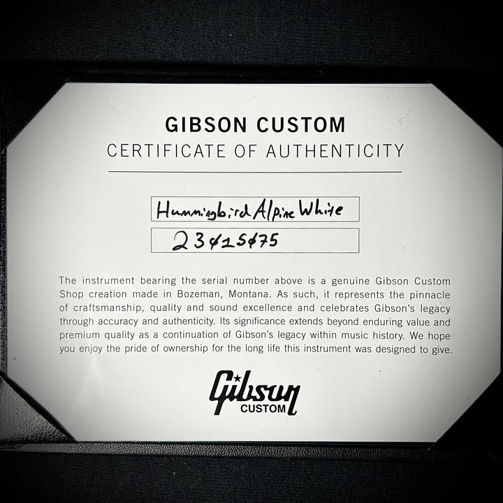 Gibson Hummingbird Maple - Alpine White