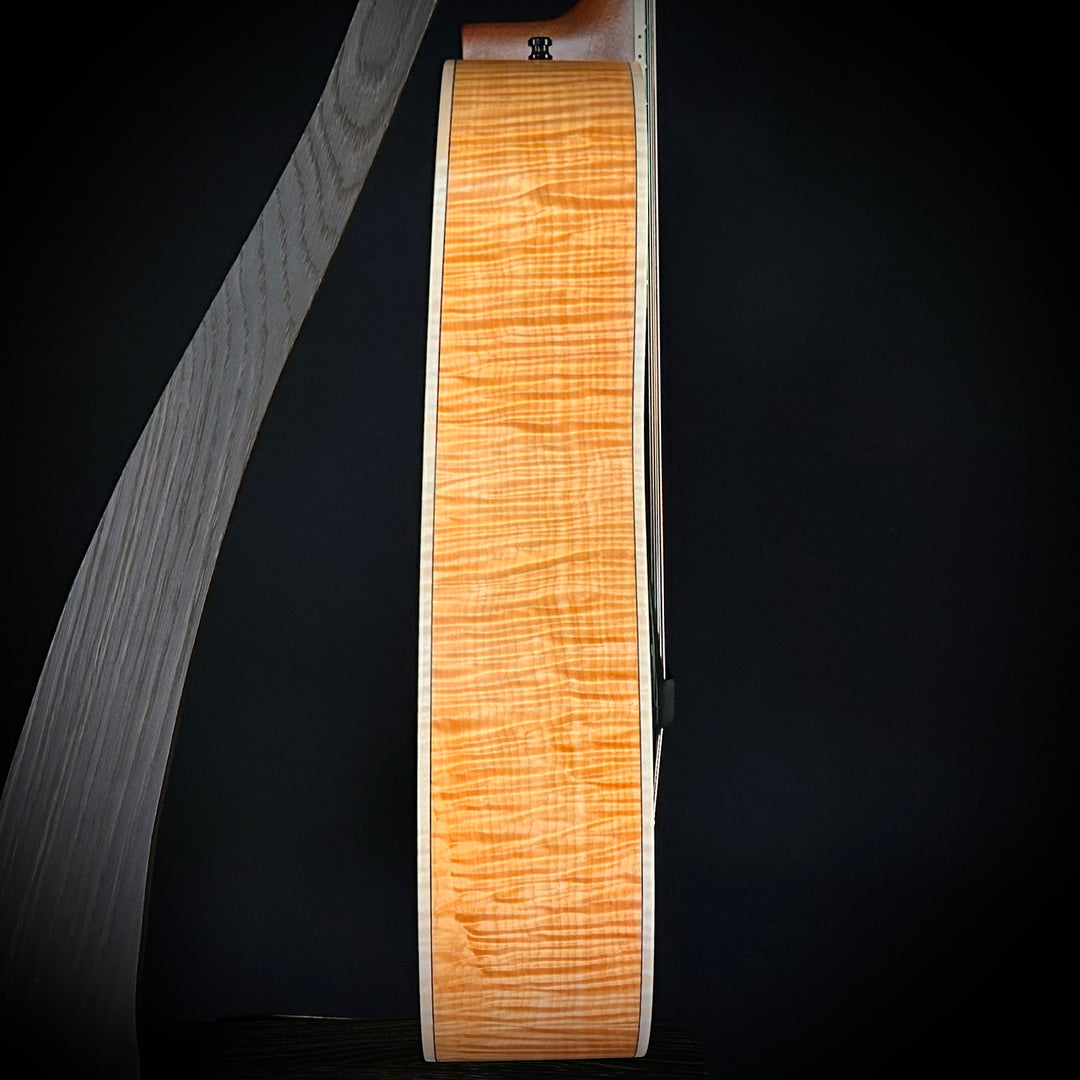 Beard 2024 Legacy E Natural (used)