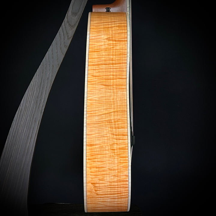 Beard 2024 Legacy E Natural (used)