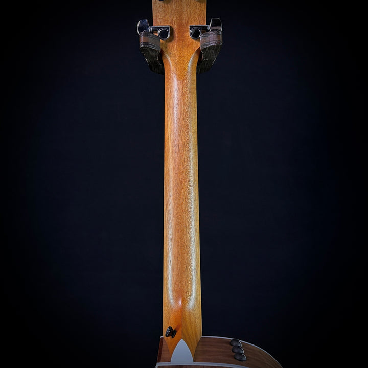 Taylor 214CE