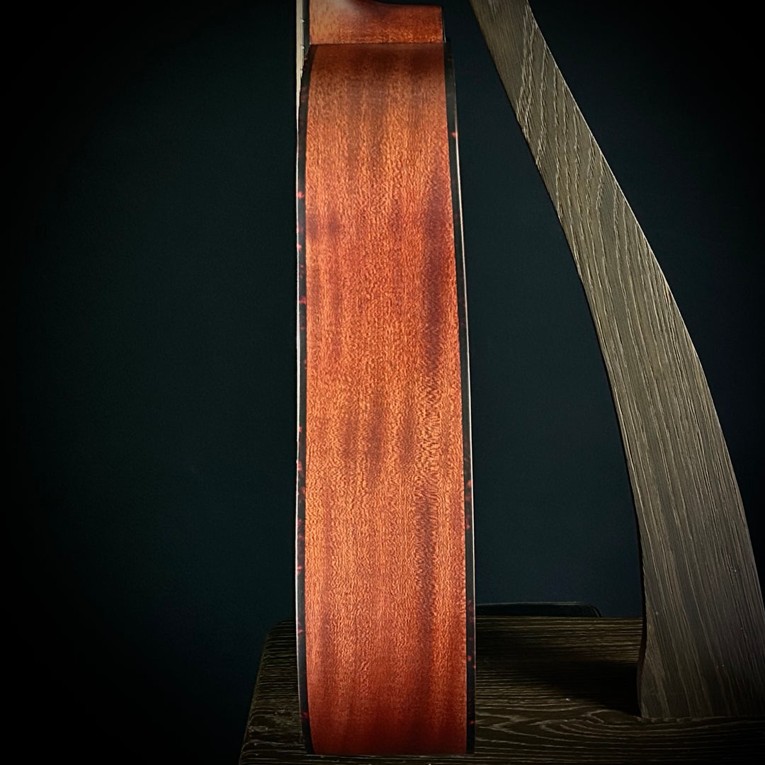 Eastman E1D