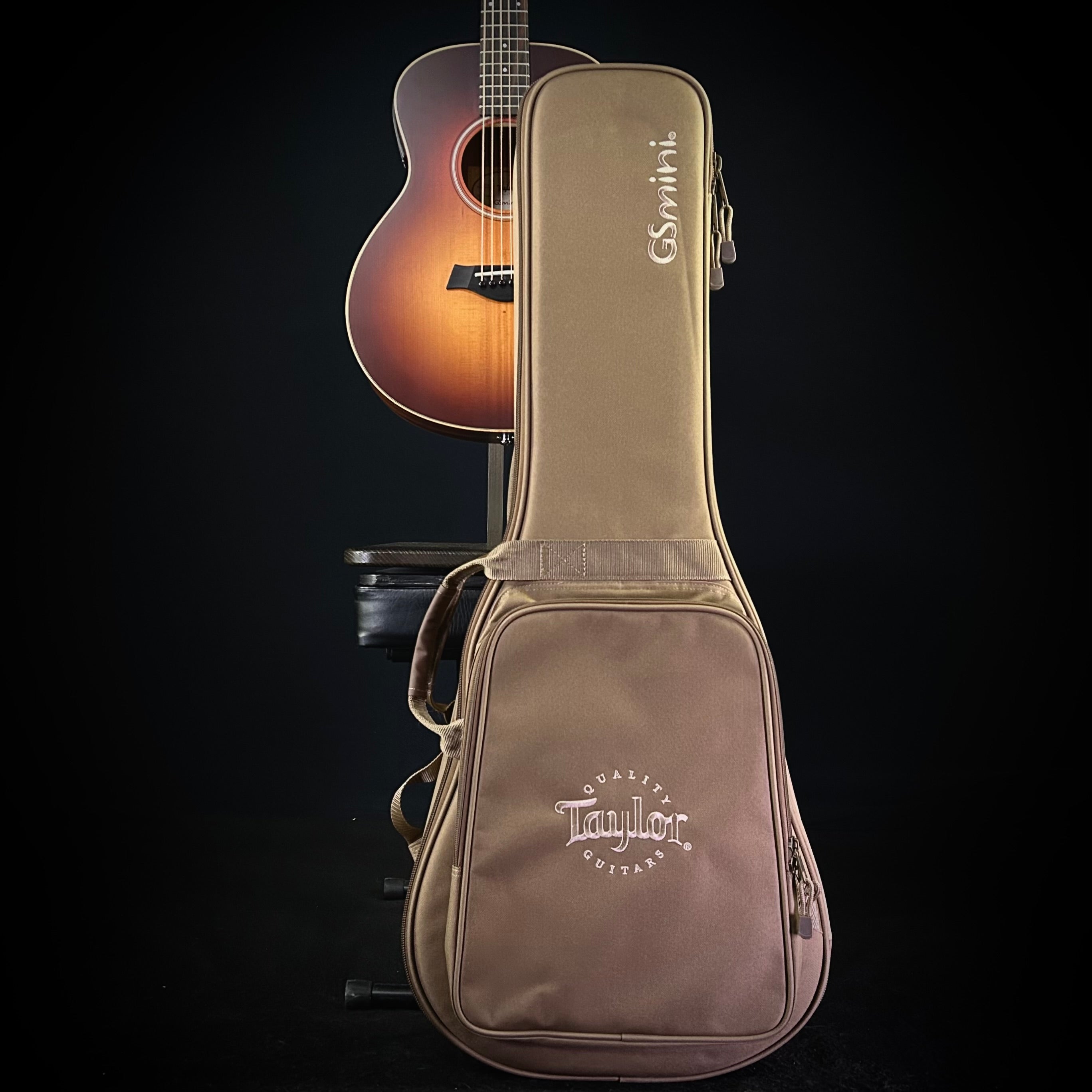 Taylor GS Mini-e Rosewood - Shaded Burst – Music Villa MT