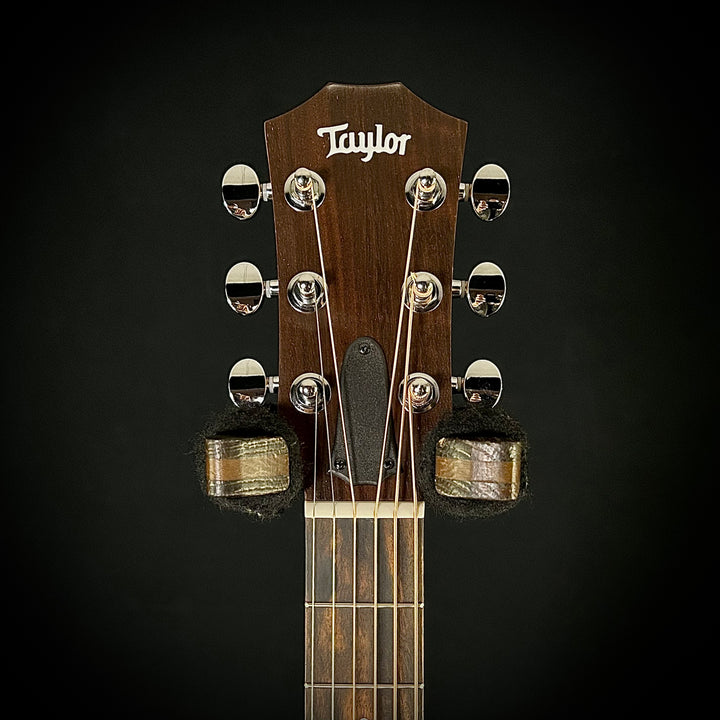 Taylor GS Mini - Lefty