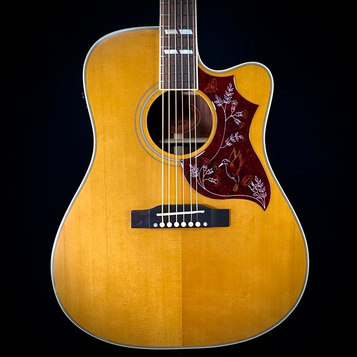 Epiphone Hummingbird Standard EC