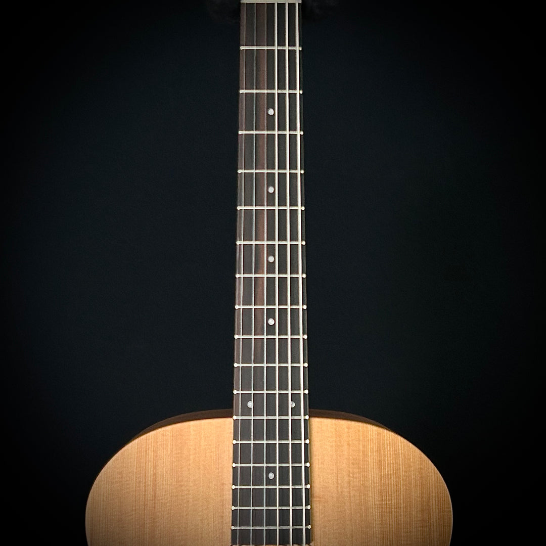 Taylor Academy 12E Nylon String -  LEFTY