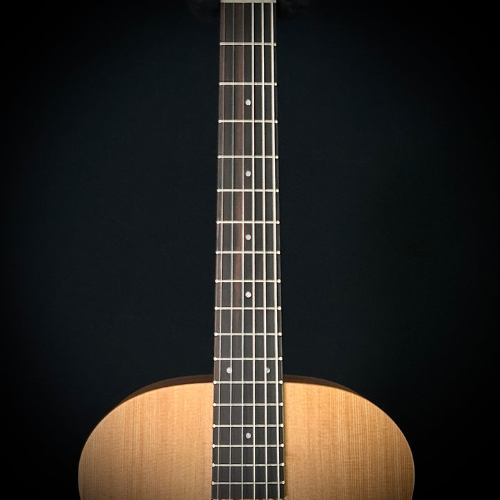 Taylor Academy 12E Nylon String -  LEFTY