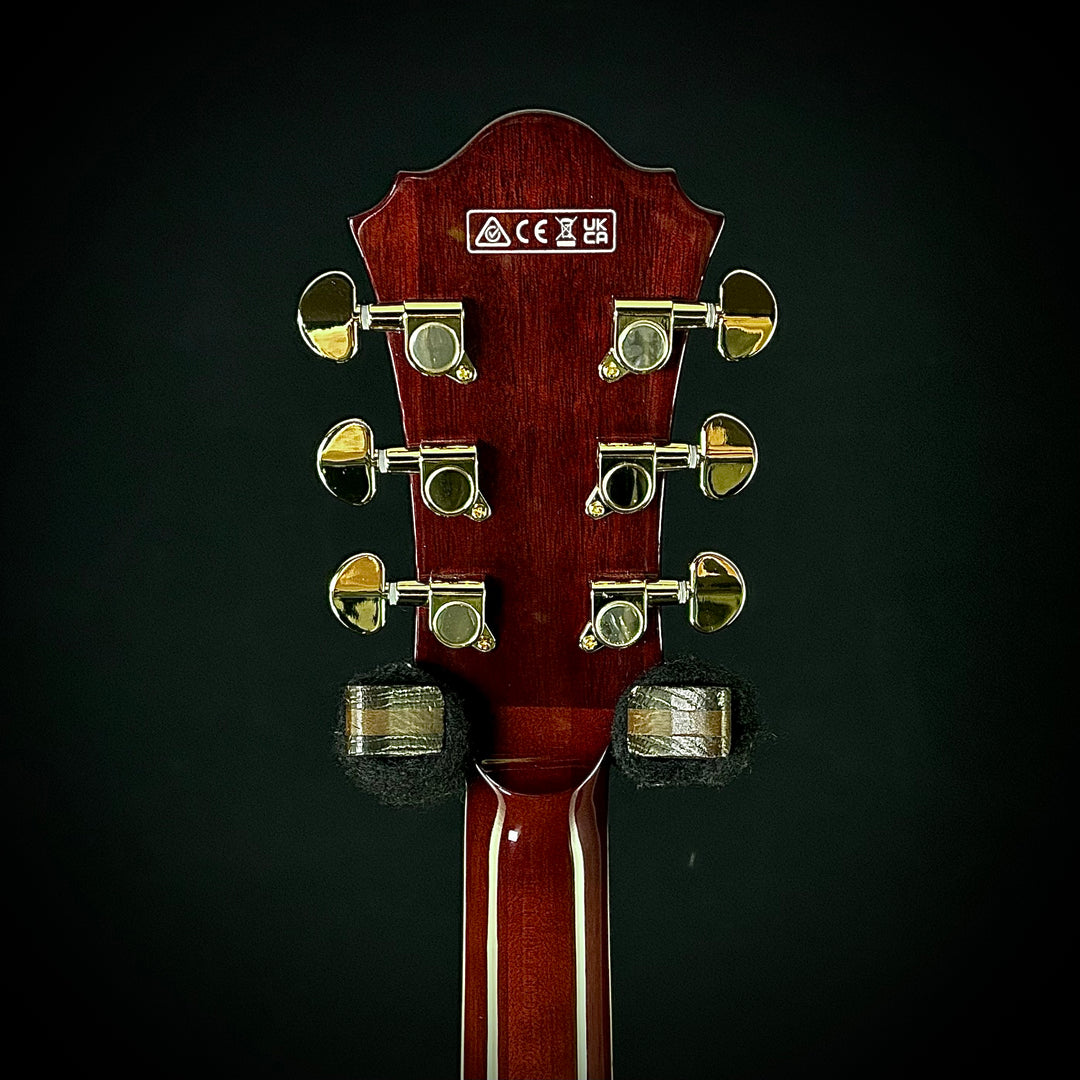 Ibanez Artcore Expressionist AG95K