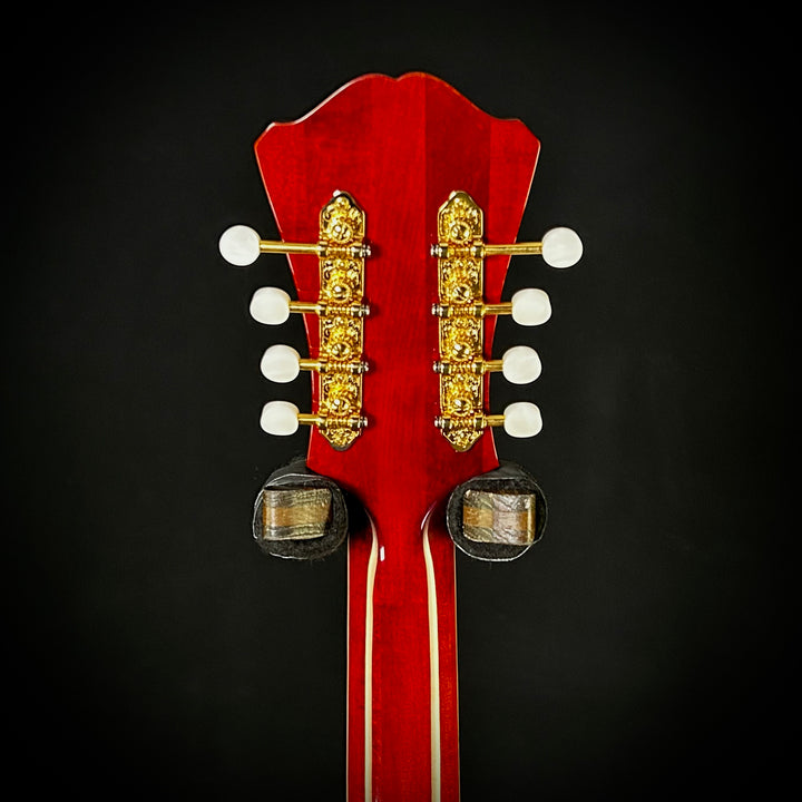 Eastman MDC804 - Mandocello