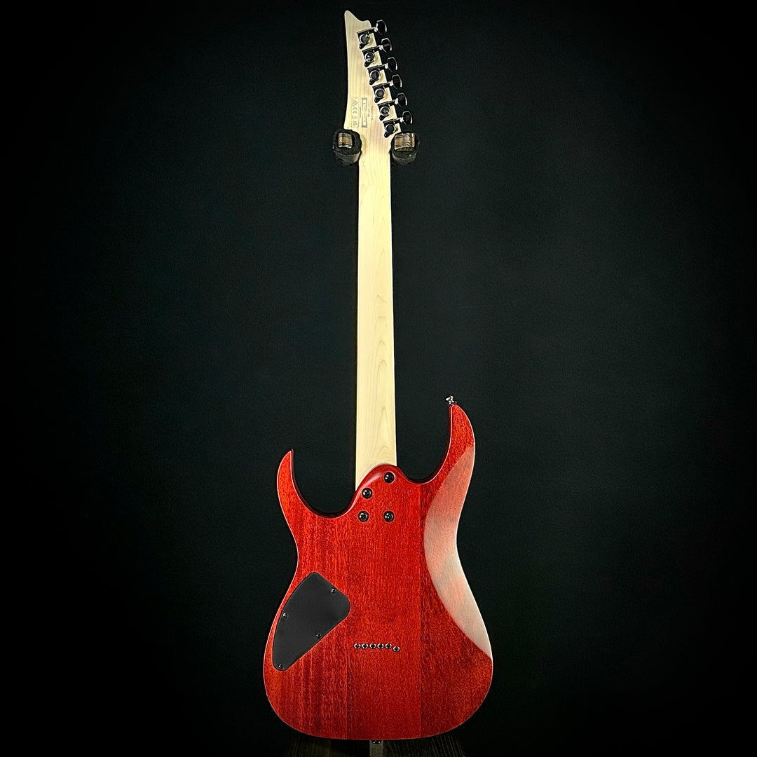 Ibanez RG421PB