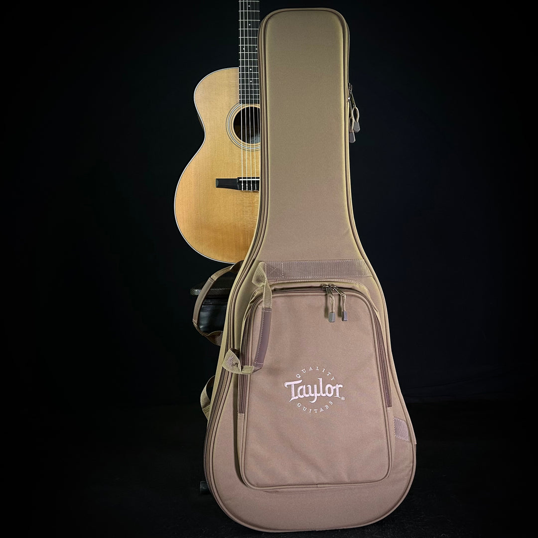 Taylor 214CE - Nylon