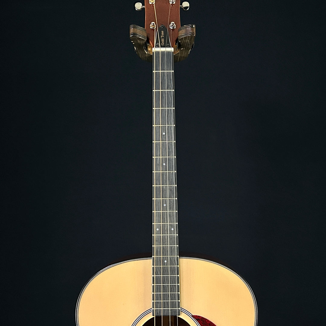 Gold Tone Tenor Guitar