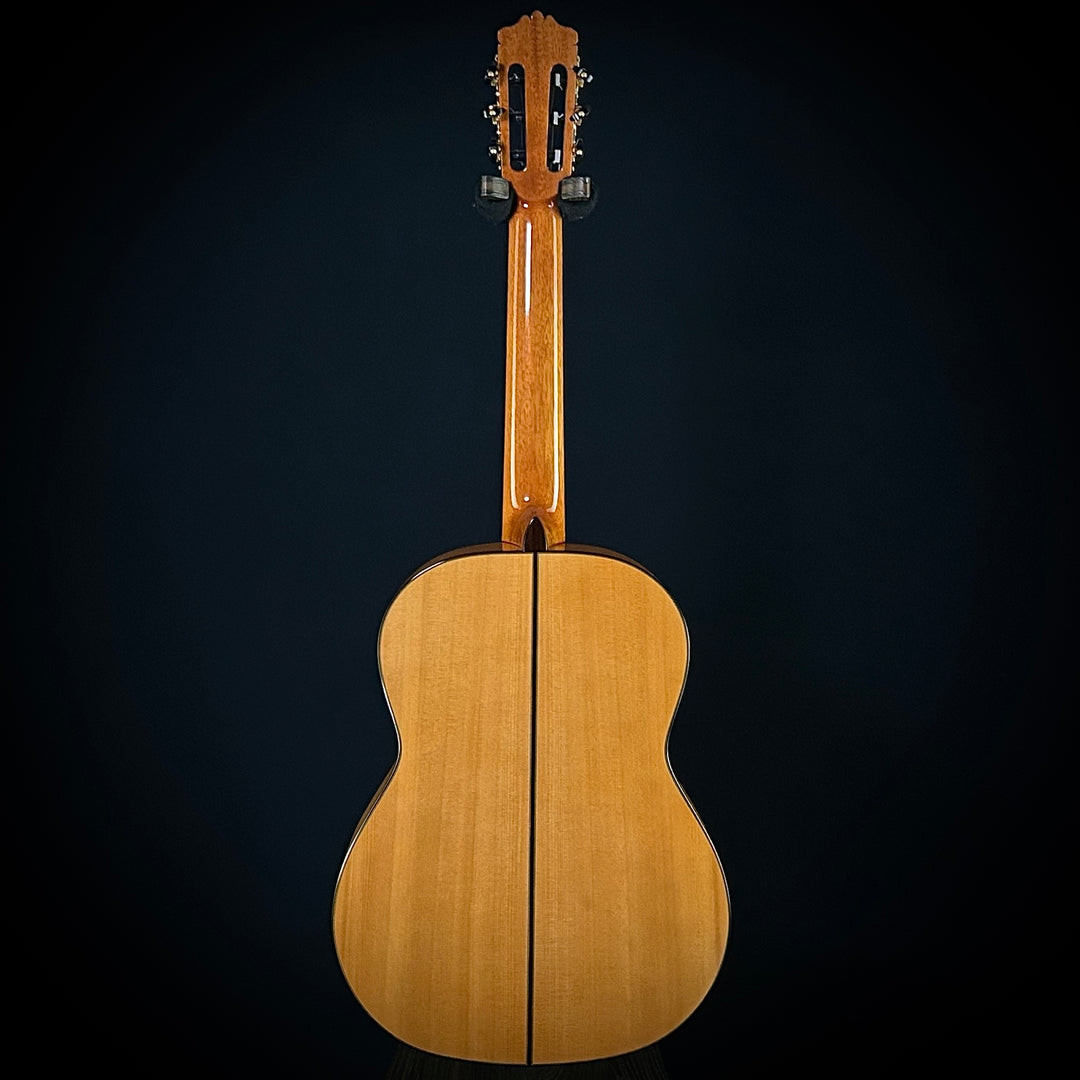 Cordoba F-10 Flamenco