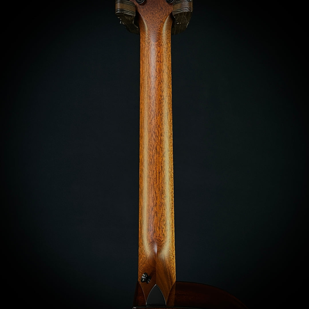Taylor MV Custom 9-String - Grand Auditorium
