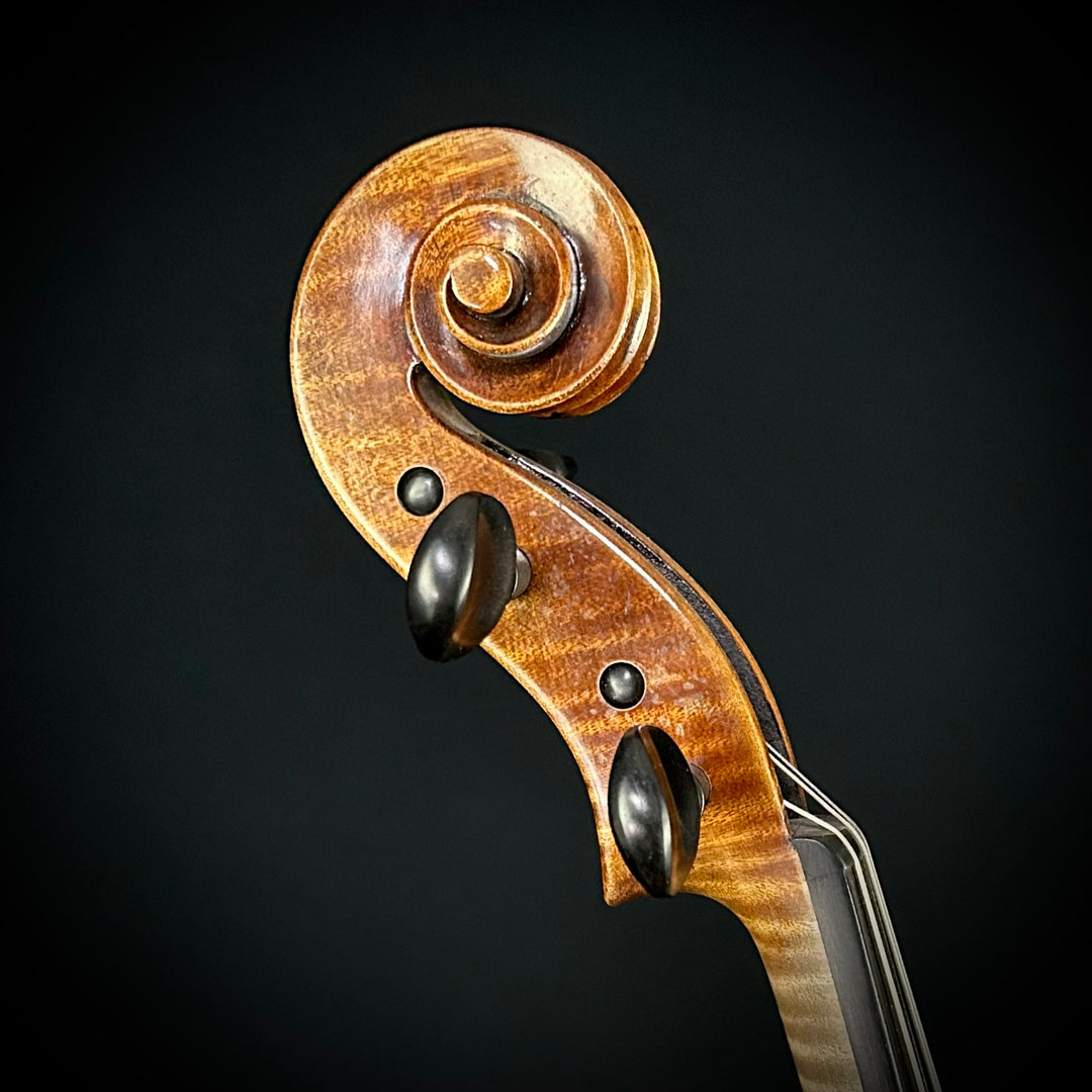 Maple Leaf Haddock 15” Viola