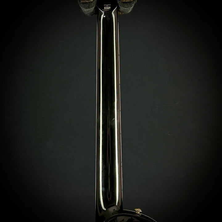 LTD EC-1000 | Fluence Pickups