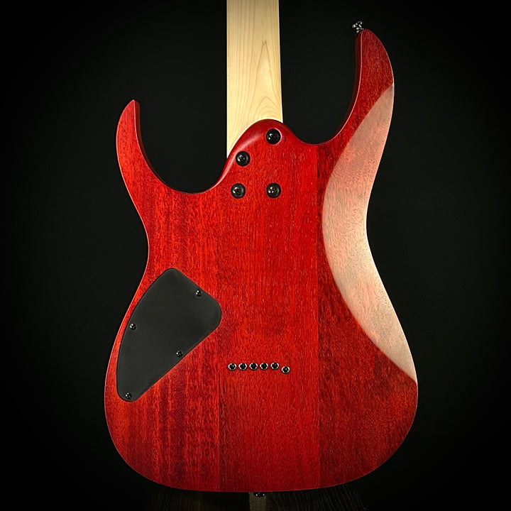 Ibanez RG421PB