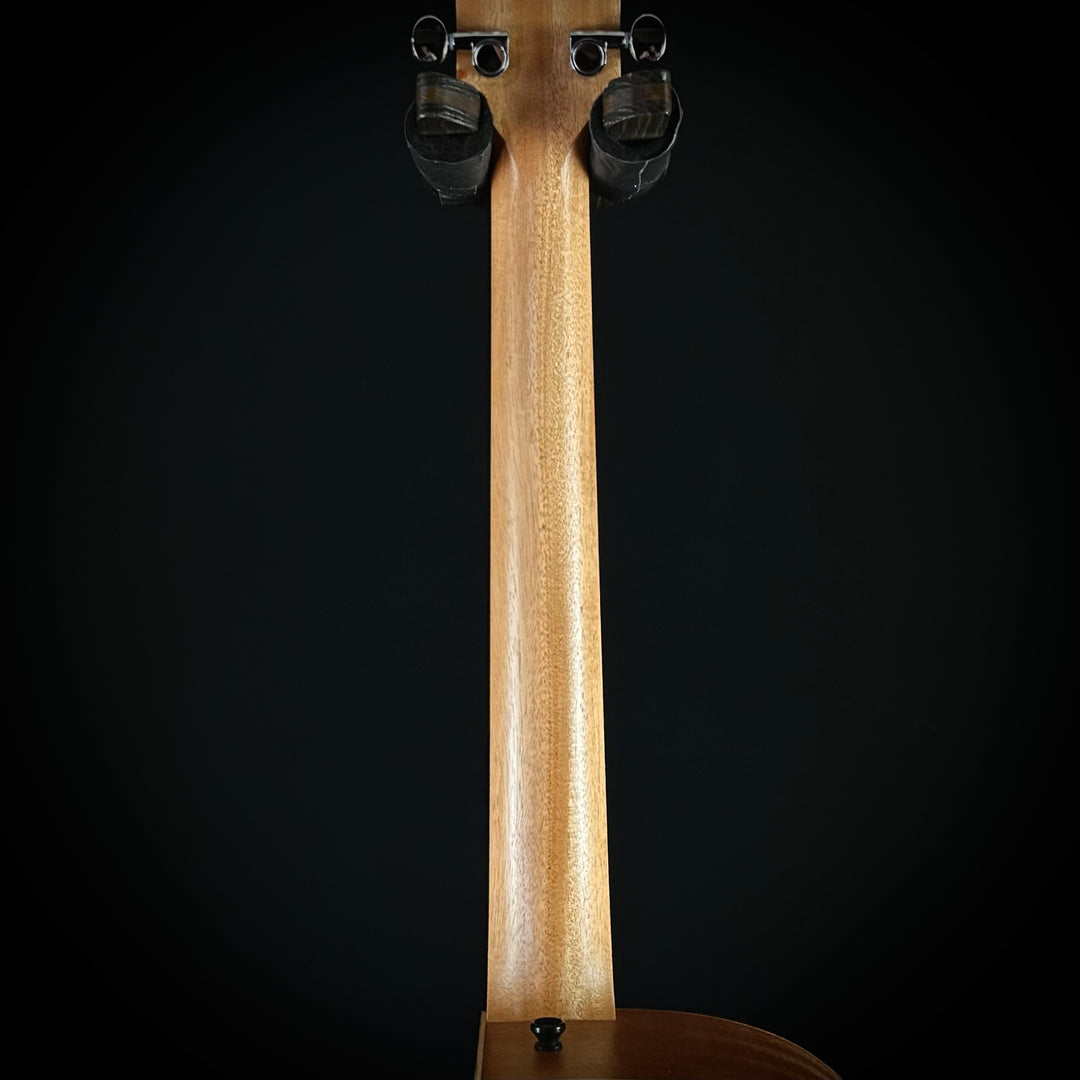 Taylor 14CE - Torrefied Spruce