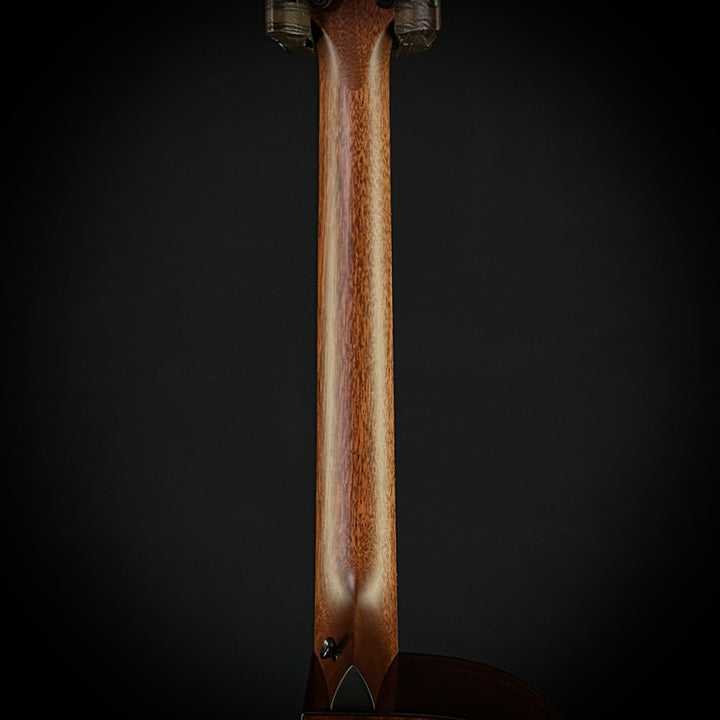 Taylor MV Custom Baritone-6 - Grand Auditorium