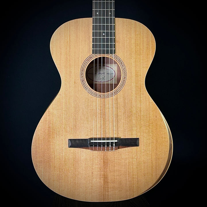 Taylor Academy 12E Nylon String -  LEFTY