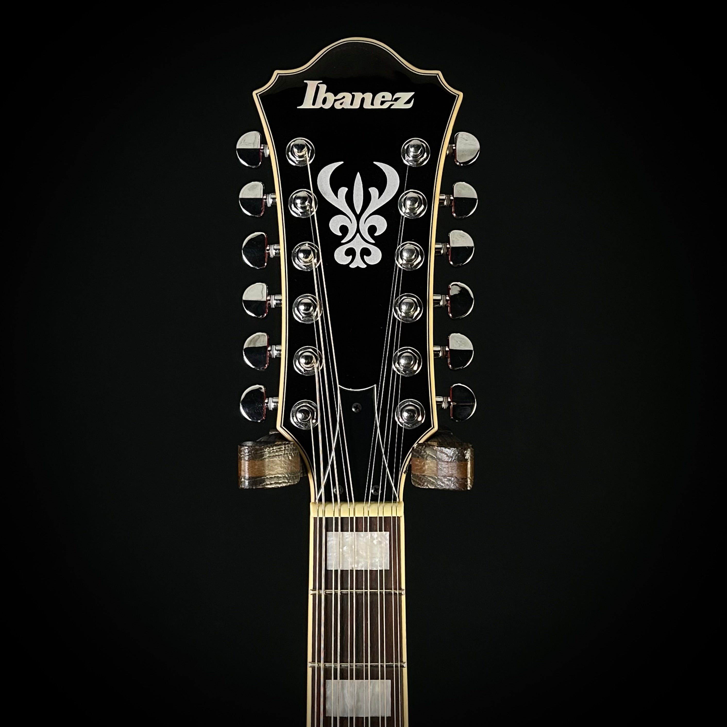 Ibanez Artcore AS7312 | 12-String – Music Villa MT