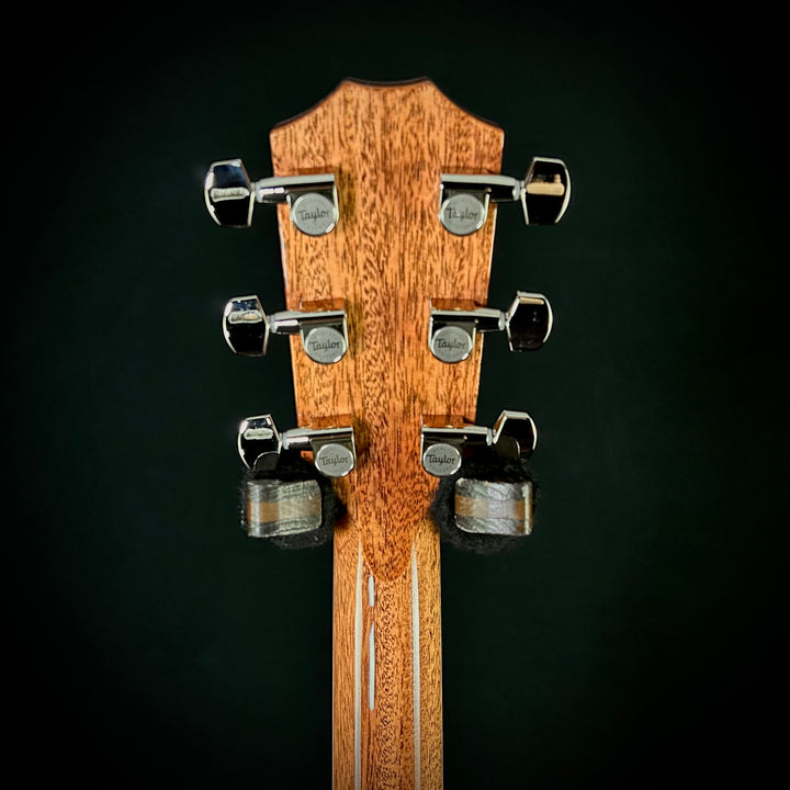 Taylor Legacy 810e