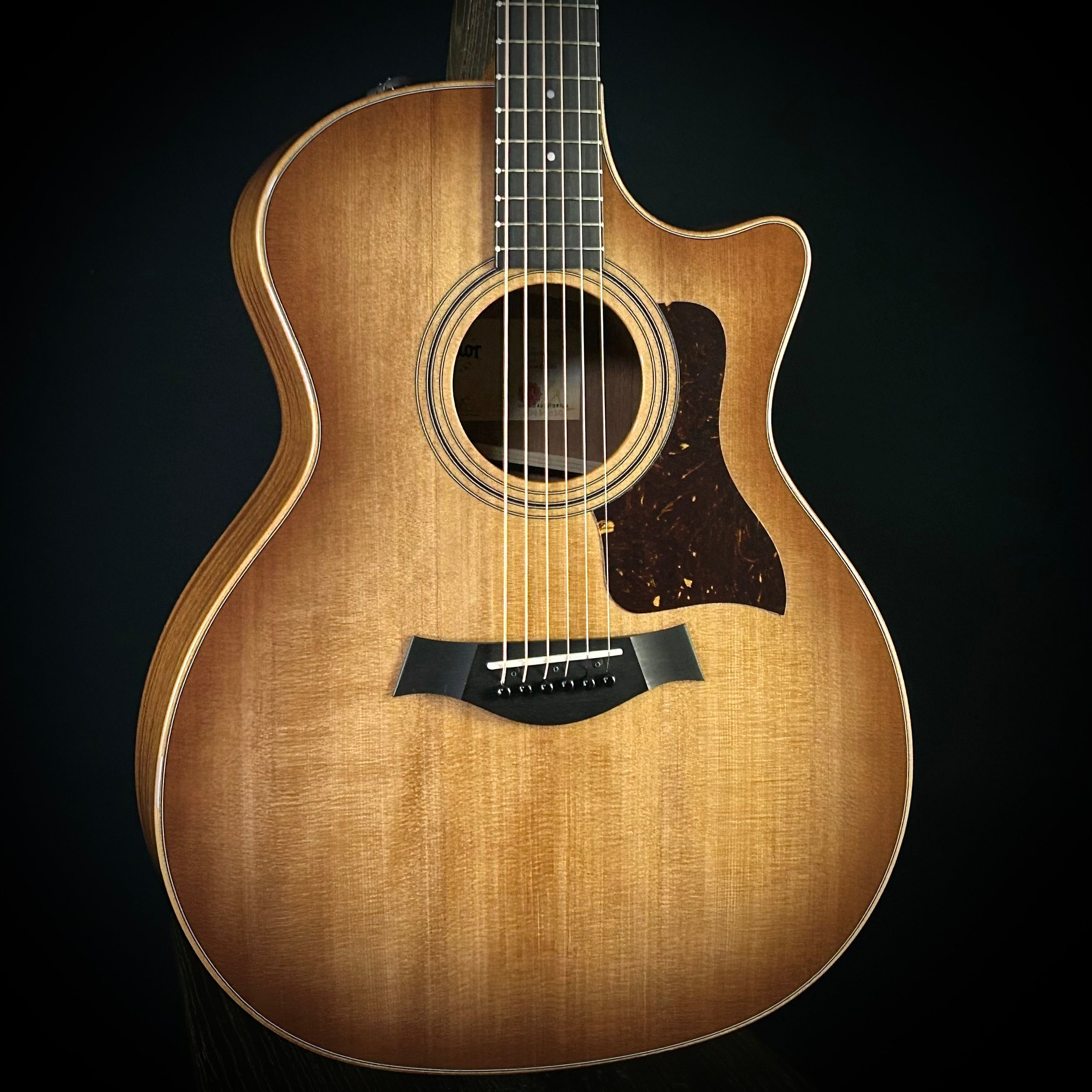 Taylor 2008年製　314CE Taylor 2008年製 314CE Taylor 2008年製 314CE Taylor 2008年製 314CE