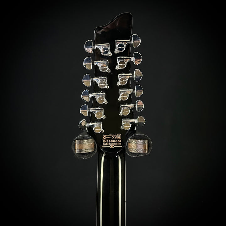 Schecter Stargazer 12