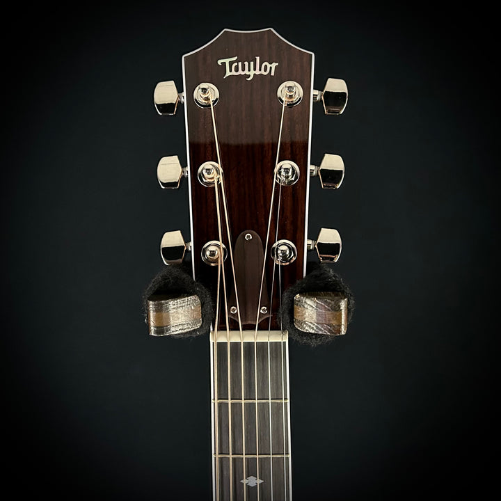Taylor Legacy 810e