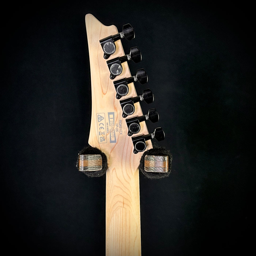 Ibanez RG421EX