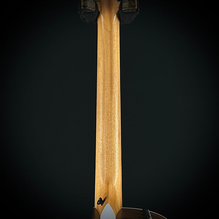Taylor 214ce - Walnut