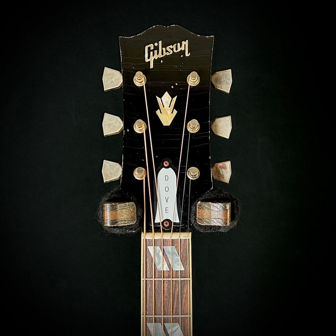 1963 Dove Murphy Lab Light Aged - Dark Natural